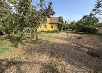 Blick durch die Bäume auf das charmante gelbe Haus und den weitläufigen Gartenbereich.