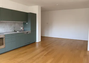 Geräumiger offener Wohn- und Essbereich mit moderner Einbauküche und hellem Parkettboden.