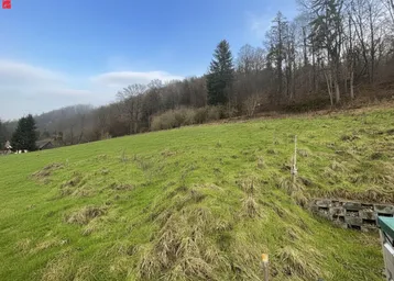 Grüne Hanglage mit Bäumen im Hintergrund unter einem blauen Himmel, ideal für Naturliebhaber.