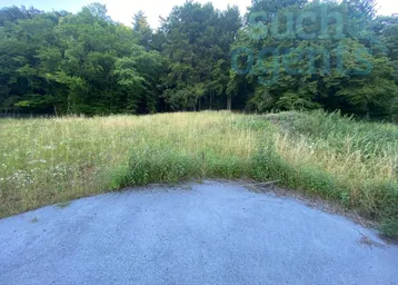 Naturbelassenes Grundstück mit einer weiten Wiese und dichtem Wald im Hintergrund.
