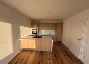 Moderne Küche mit Holzelementen, Kücheninsel mit Induktionskochfeld und integriertem Backofen.