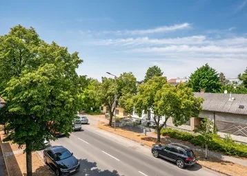 Weitblick über eine von Bäumen gesäumte Straße mit parkenden Autos und Wohngebäuden.