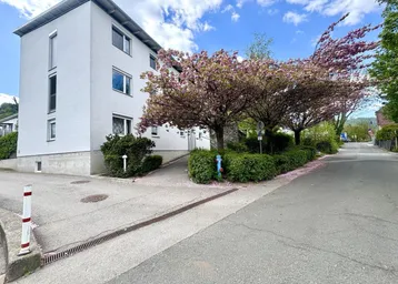 Modernes Wohngebäude mit weißer Fassade, umgeben von blühenden Bäumen und grünen Hecken an einer ruhigen Straße.
