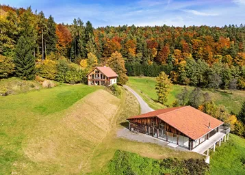 Drohnenaufnahme von zwei modernen Holzhäusern auf einem Hügel mit herbstlichem Wald im Hintergrund.