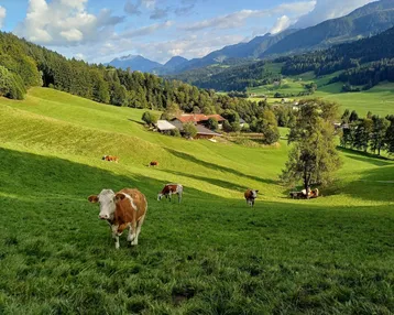 Idyllische Alpenlandschaft mit grünen Wiesen, weidenden Kühen und traditionellen Häusern im Hintergrund.