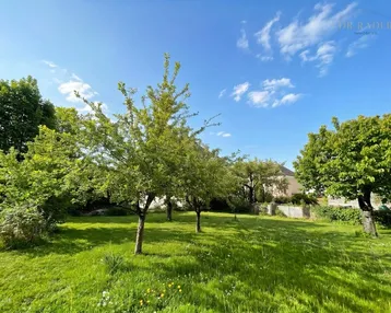 Gepflegter Garten mit Rasenfläche und jungen Obstbäumen unter blauem Himmel.
