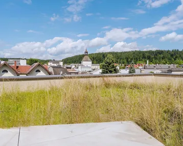 Blick über eine begrünte Dachfläche auf die umliegende Stadt und bewaldete Hügel.