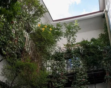 Blick in einen begrünten Innenhof mit üppiger Vegetation an den Balkonen und weißen Fassaden.