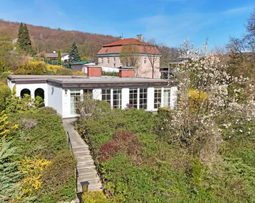 Modernes Einfamilienhaus mit Flachdach und großen Fenstern, umgeben von einem gepflegten grünen Garten mit blühenden Sträuchern.