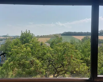 Weitläufiger Blick aus dem Fenster über grüne Felder und Bäume bis zum Horizont.