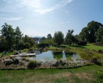 Natürlicher Teich mit Holzsteg und üppiger Vegetation in einer weitläufigen Gartenanlage unter blauem Himmel.