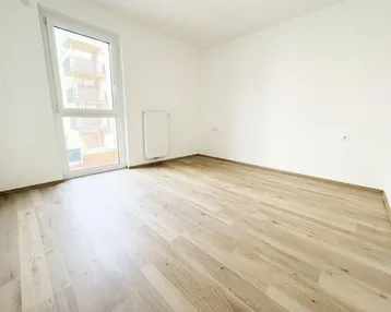 Geräumiges Schlafzimmer mit Laminatboden und Zugang zu einem französischen Balkon.