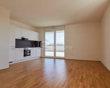 Heller offener Wohnbereich mit integrierter moderner Küche, Parkettboden und Zugang zur Terrasse.