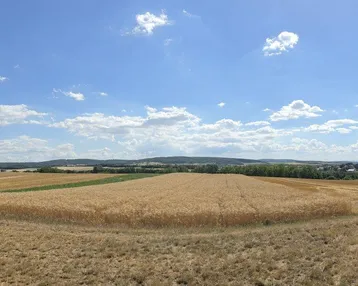 Weitläufiger Blick über goldene Felder und sanfte Hügel unter blauem Himmel mit einem Dorf am Horizont.
