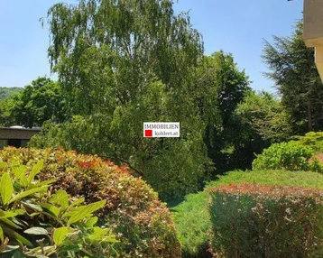 Üppiger grüner Gartenbereich mit hohen Bäumen und gepflegten Sträuchern.