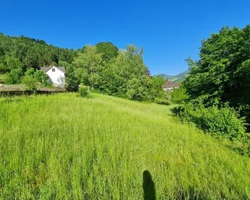 Weitläufige grüne Wiese mit einem Haus im Hintergrund und bewaldeten Hügeln unter blauem Himmel.