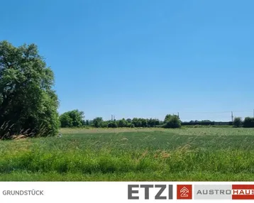 Ausgedehntes grünes Feld mit Bäumen und entfernten Industrieanlagen am Horizont.