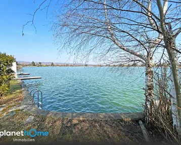 Direkter Zugang zum See mit Steg und Badeleiter, umgeben von natürlicher Vegetation.