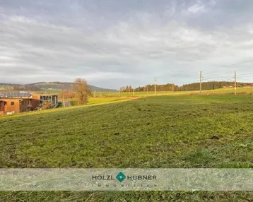 Weitläufige grüne Landschaft mit sanften Hügeln und vereinzelten Gebäuden am Horizont unter bewölktem Himmel.