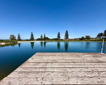 Holzsteg an einem ruhigen Teich unter blauem Himmel, umgeben von Bäumen und Natur.