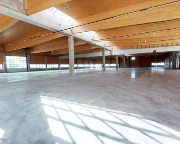 Geräumige Lagerhalle mit hoher Holzdecke, Betonboden und viel Tageslicht durch Fenster und Oberlichter.