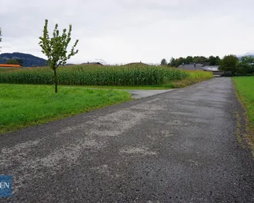 Landwirtschaftliche Fläche mit Schotterweg und Maisfeld unter bewölktem Himmel, umgeben von grünen Wiesen.