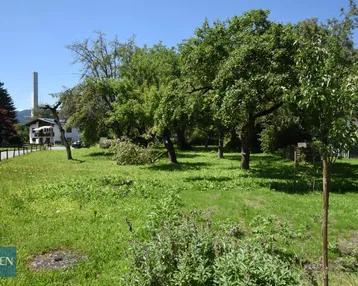 Grüner Gartenbereich mit Obstbäumen und Rasenfläche, im Hintergrund ein Gebäude und ein hoher Schornstein.