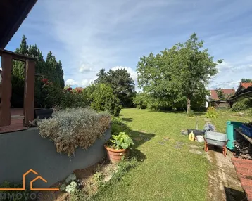 Weitläufiger Garten mit altem Baumbestand und viel Grünfläche unter sonnigem Himmel.
