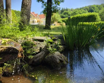 Teich mit üppiger Vegetation und Bäumen im Hintergrund, umgeben von einer grünen Landschaft.
