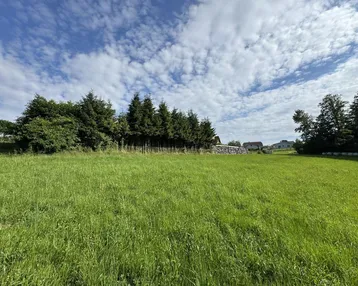 Weitläufige grüne Wiese mit Bäumen und Häusern im Hintergrund unter blauem Himmel.