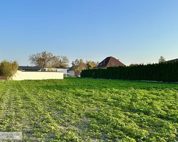 Weitläufiges grünes Feld mit Hecke und Häusern im Hintergrund unter klarem Himmel.