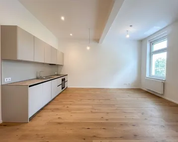 Helle, moderne Küche mit hellgrauen Schränken, Holzboden und großem Fenster, Teil eines offenen Wohnbereichs.