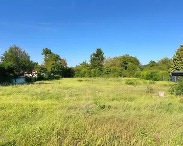 Weitläufiges Grundstück mit grüner Wiese und umgebenden Bäumen unter blauem Himmel.