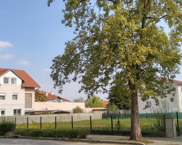 Blick auf die Umgebung mit bestehenden Gebäuden, einem Baum und einer freien Grünfläche.