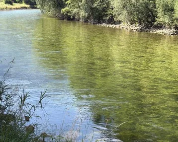 Flusslandschaft mit klarem Wasser, umgeben von üppigen grünen Bäumen und Bergen im Hintergrund.