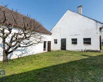 Altes Bauernhaus mit weiß getünchten Wänden und kahlem Baum im Vordergrund unter blauem Himmel.
