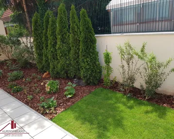 Ordentlich angelegter Gartenweg mit einer Reihe von hohen Zypressen und gepflegten Blumenbeeten.