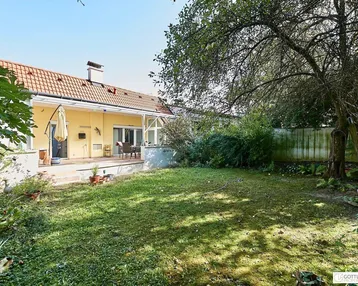 Großer Garten mit Rasenfläche, altem Baumbestand und angrenzender überdachter Terrasse am Haus.