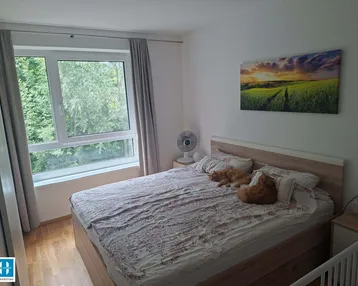 Schlafzimmer mit Doppelbett, Holzboden und großem Fenster mit Blick ins Grüne.