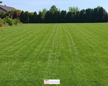 Große, gepflegte Rasenfläche mit einer dichten Hecke im Hintergrund und angrenzenden Gebäuden.