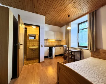 Gemütliches Zimmer mit Holzbalkendecke, integrierter Küchenzeile und Zugang zu einem kleinen Bad.