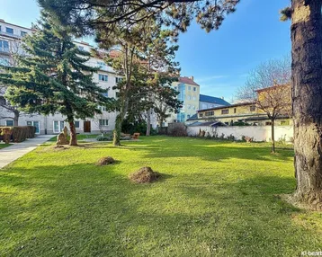 Grüne Außenanlage mit Rasenfläche und Bäumen vor einem Wohngebäude unter blauem Himmel.