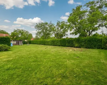 Großer, gepflegter Rasenbereich mit hoher Hecke und Bäumen im Hintergrund, ideal für Freizeitaktivitäten.