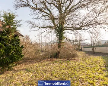 Großer Baum auf dem Grundstück mit Blick auf die umliegende Landschaft und weitere Häuser.