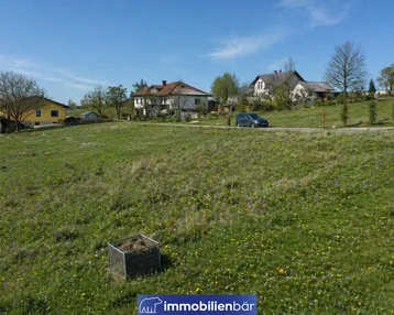 Grüne Wiese mit vereinzelten Blumen und Blick auf eine ländliche Straße mit Häusern im Hintergrund.