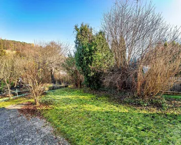 Grüner Gartenbereich mit Rasenfläche und verschiedenen Sträuchern unter blauem Himmel.