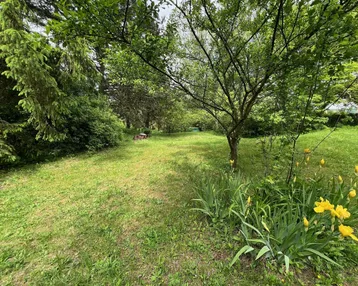 Grüner Gartenbereich mit Rasenfläche, Bäumen und blühenden Pflanzen unter bewölktem Himmel.