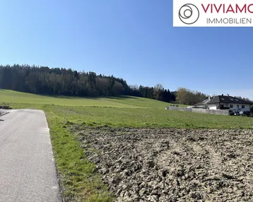 Weitläufige Landschaft mit grünen Feldern, Waldrand und einem Haus in der Ferne unter blauem Himmel.