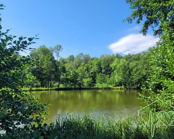 Idyllischer Teich umgeben von dichtem Grün und Bäumen unter strahlend blauem Himmel.