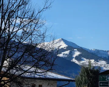 Malerischer Blick auf schneebedeckte Berge und bewaldete Hänge unter einem klaren blauen Himmel.